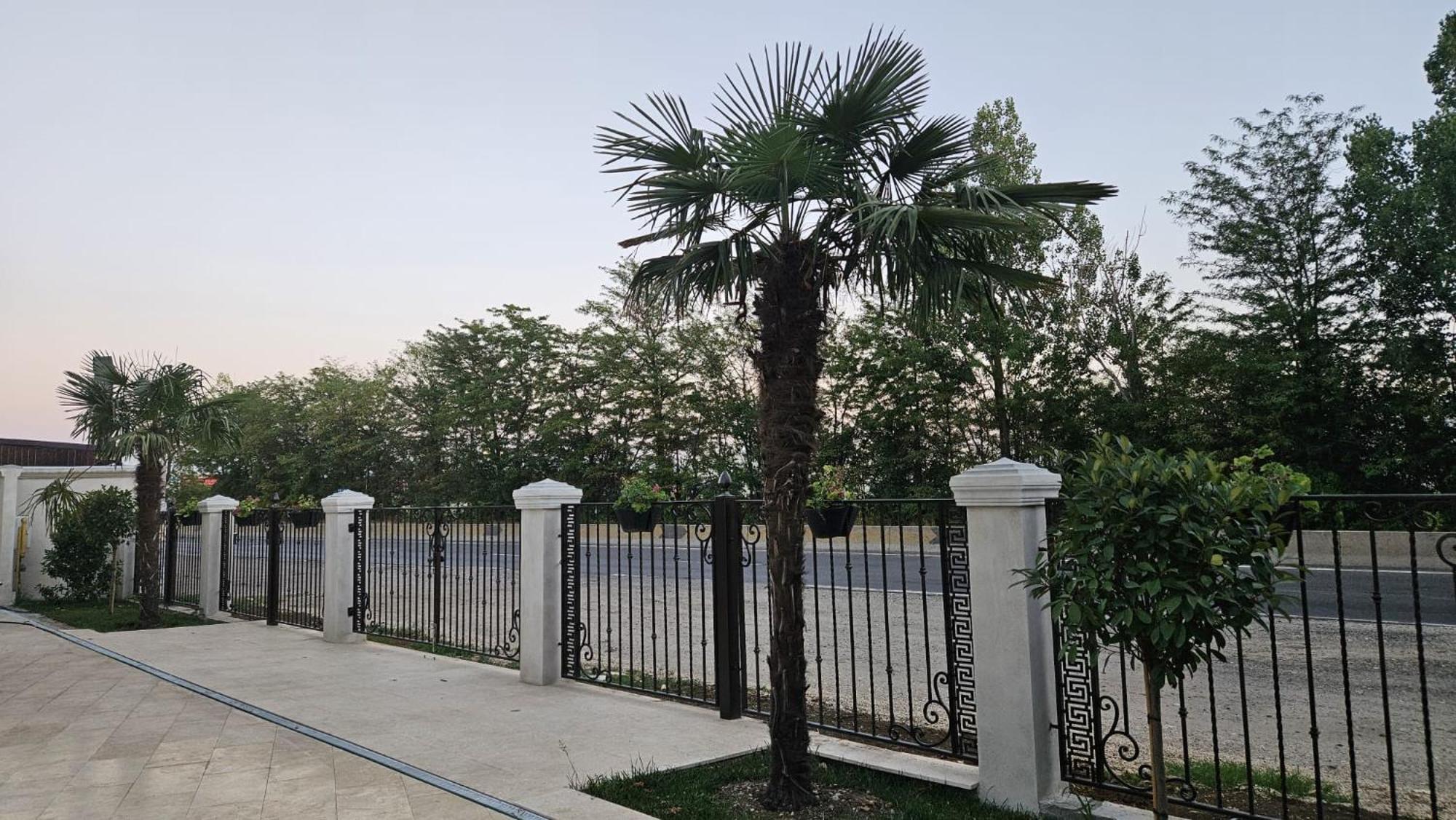 Mihai Palace Buftea Exterior photo